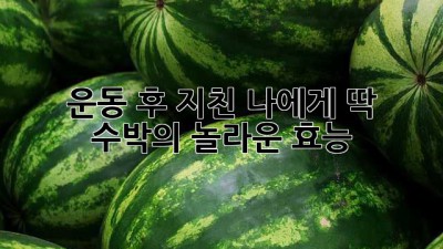 운동 후 지친 나에게 딱! 수박의 놀라운 효능