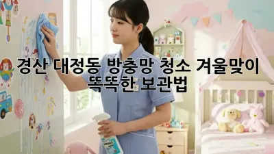 경산 대정동 방충망 청소🧹 겨울맞이 똑똑한 보관법!