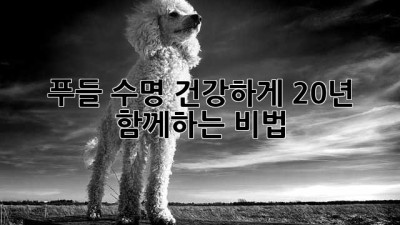 푸들🐩 수명, 건강하게 20년 💖 함께하는 비법