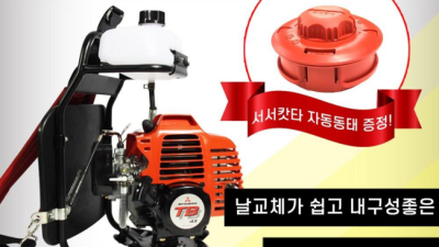 가성비 갑! 가스예초기 가격 비교 & 솔직 후기 🌿